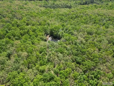 9207 Old Jackson Rd, Fredericktown, MO 63645 photo 8