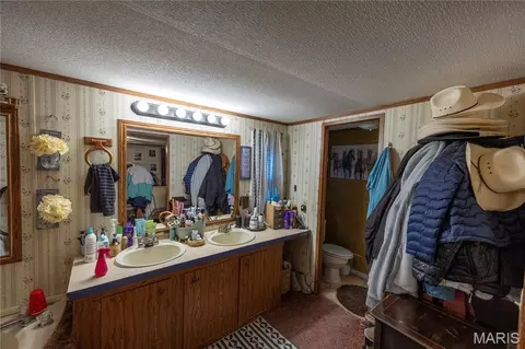 Bath - 482 County Road 472, Oak Ridge, MO 63769 photo 2 of 4