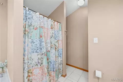 Bath - 3325 Green Dr, Festus, MO 63028 photo 2 of 5