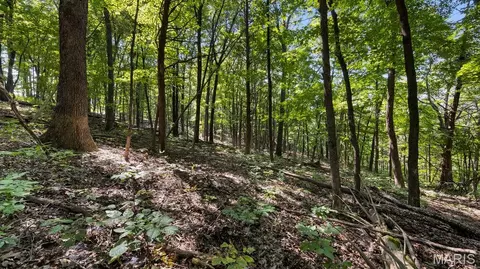 1652 Coles Creek Rd, Hermann, MO 65041 photo 9