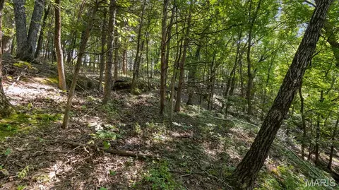 1652 Coles Creek Rd, Hermann, MO 65041 photo 23