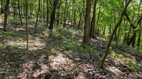 1652 Coles Creek Rd, Hermann, MO 65041 photo 26
