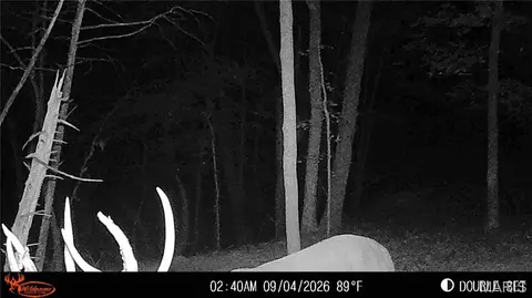 1652 Coles Creek Rd, Hermann, MO 65041 photo 3