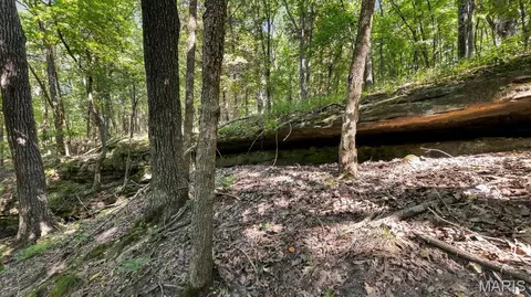 1652 Coles Creek Rd, Hermann, MO 65041 photo 16