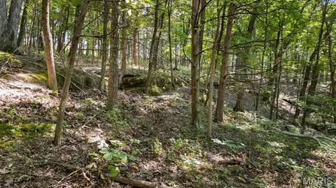 1652 Coles Creek Rd, Hermann, MO 65041 photo 24