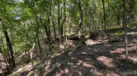 1652 Coles Creek Rd, Hermann, MO 65041 photo 13