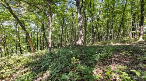 1652 Coles Creek Rd, Hermann, MO 65041 photo 11