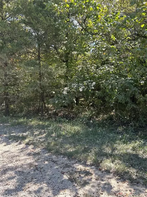 0 Rue Charles, Bonne Terre, MO 63628