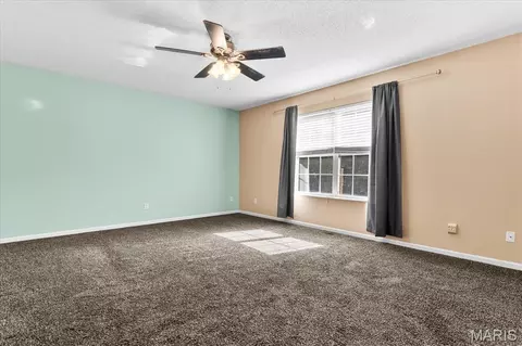 Other - 708 S Library St, Waterloo, IL 62298 photo 9 of 21