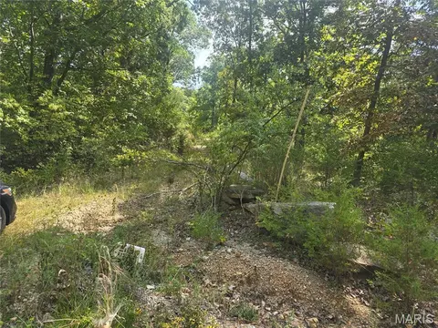 8607 John Mckeever Rd, Pacific, MO 63069 photo 2