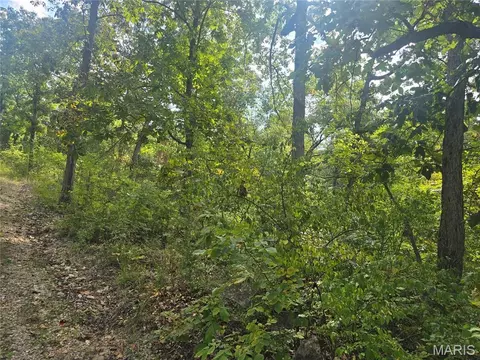 8607 John Mckeever Rd, Pacific, MO 63069 photo 6