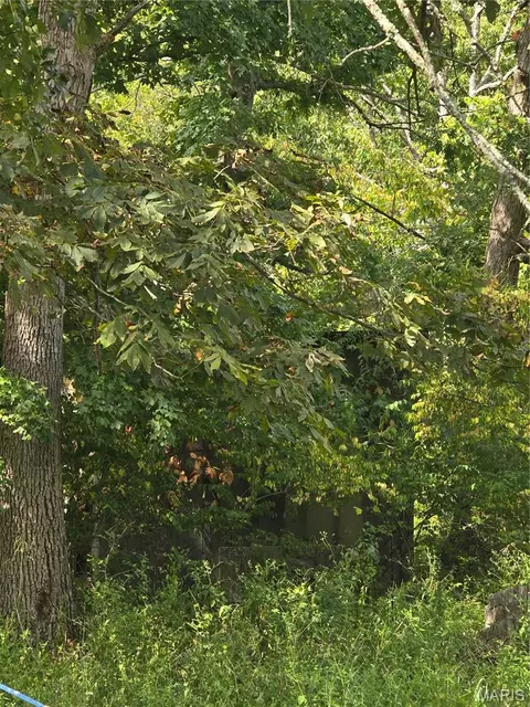 8607 John Mckeever Rd, Pacific, MO 63069 photo 23