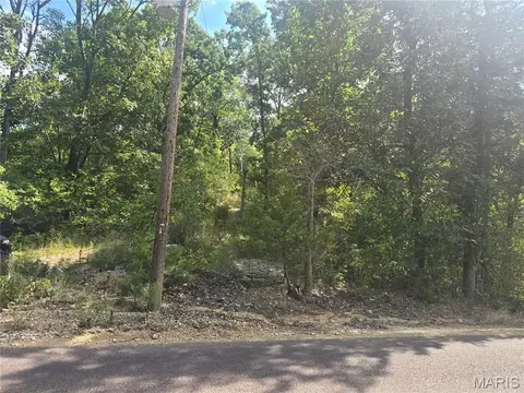 8607 John Mckeever Rd, Pacific, MO 63069 photo 5