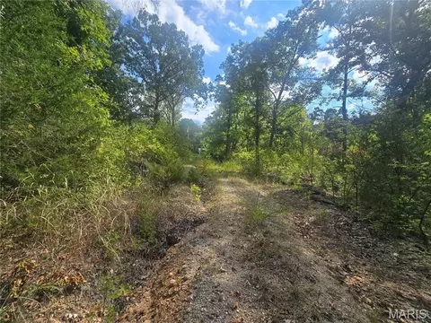 8607 John Mckeever Rd, Pacific, MO 63069 photo 9