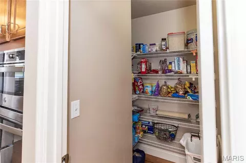 Other - 910 Daffodil Ridge Dr, O'fallon, MO 63366 photo 1 of 6
