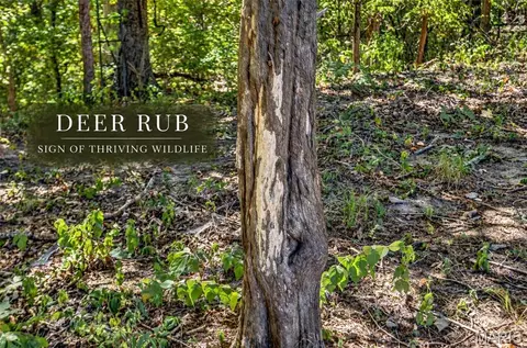 Other - 30341 Mitchell Creek Rd, Brighton, IL 62012 photo 13 of 21