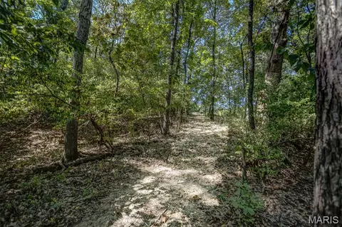 Other - 30341 Mitchell Creek Rd, Brighton, IL 62012 photo 17 of 21