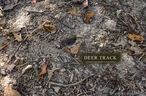 Other - 30341 Mitchell Creek Rd, Brighton, IL 62012 photo 16 of 21