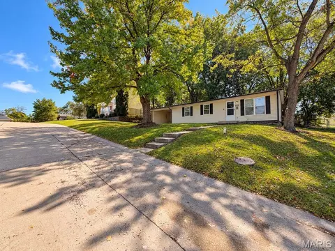 702 Locust St, Festus, MO 63028