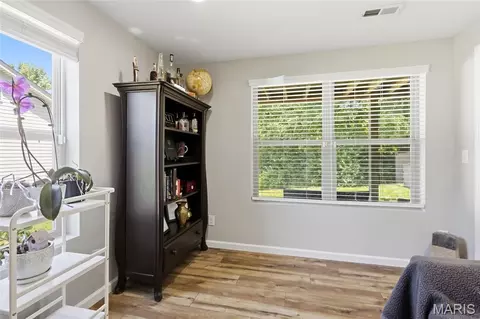 Other - 1128 Patsy Ln, O'fallon, MO 63366 photo 6 of 9