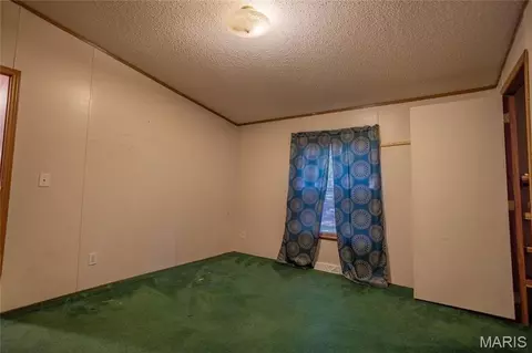 10123 Dorlac Dr, Cadet, MO 63630 photo 17