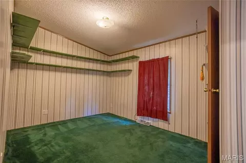 10123 Dorlac Dr, Cadet, MO 63630 photo 22
