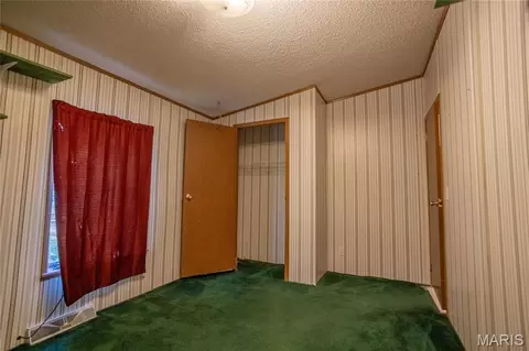 10123 Dorlac Dr, Cadet, MO 63630 photo 23