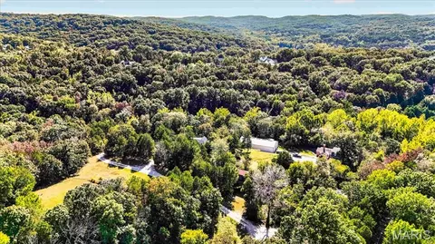 View/Area - 3990 Freeman Rd, Pacific, MO 63069 photo 4 of 5