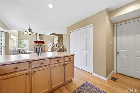 Other - 630 Cascade Lake Dr, Ballwin, MO 63021 photo 2 of 6