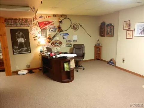 Other - 119 Willow Creek Rd, Union, MO 63084 photo 11 of 12