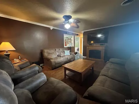 Living - 17237 Sam Dr, Dexter, MO 63841 photo 3 of 3