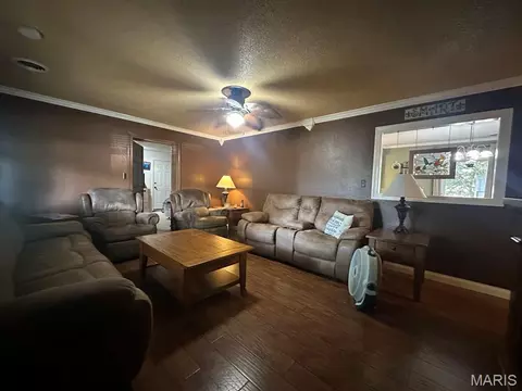 Living - 17237 Sam Dr, Dexter, MO 63841 photo 2 of 3