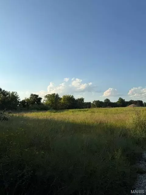 25 Cedar Cv, Winfield, MO 63389 photo 8