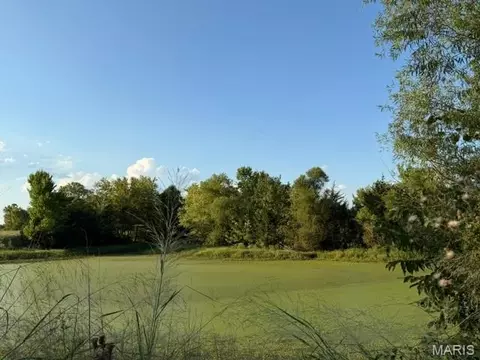 25 Cedar Cv, Winfield, MO 63389 photo 6