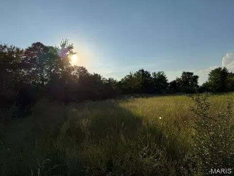 25 Cedar Cv, Winfield, MO 63389 photo 9