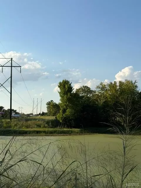25 Cedar Cv, Winfield, MO 63389 photo 5