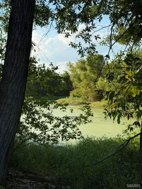 25 Cedar Cv, Winfield, MO 63389 photo 4