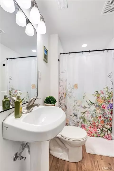 Bath - 154 Vincent St, Pacific, MO 63069 photo 5 of 5
