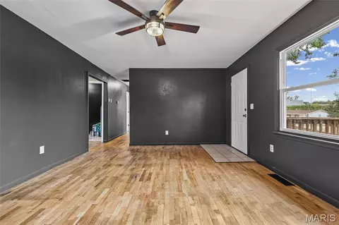 Living - 1002 Terrace Dr, Festus, MO 63028 photo 3 of 7