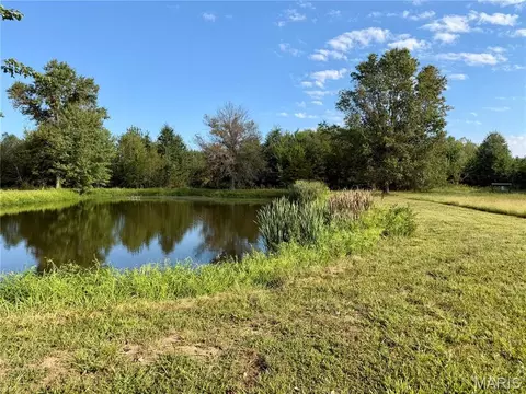 View/Area - 5823 Mcdaneld Rd, Kell, IL 62853 photo 9 of 10