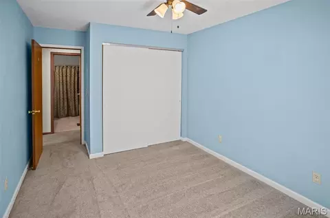 Other - 431 Pheasant Ln, Moro, IL 62067 photo 5 of 12