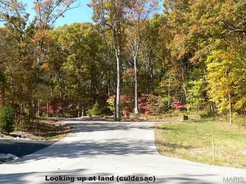 2902 Saint Albans Forest Cir, Glencoe, MO 63038 photo 6