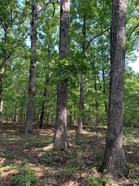 Off Cr 124, Annapolis, MO 63620 photo 13