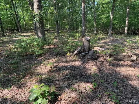 Off Cr 124, Annapolis, MO 63620 photo 11