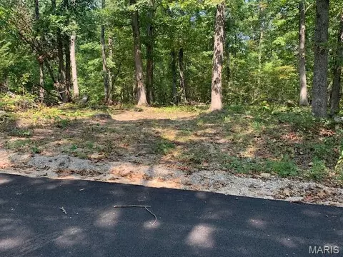 Off Cr 124, Annapolis, MO 63620 photo 10