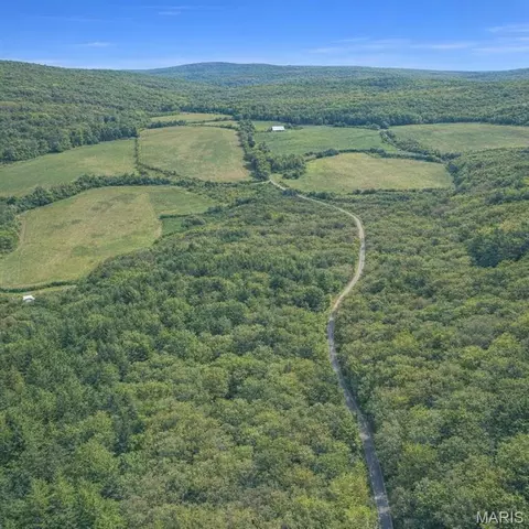 Off Cr 124, Annapolis, MO 63620 photo 6