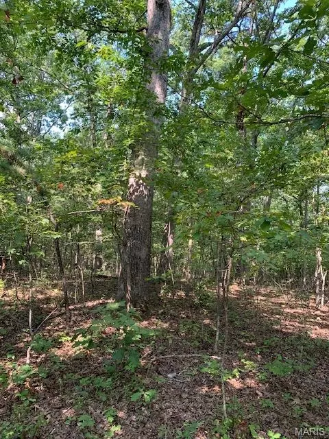 Off Cr 124, Annapolis, MO 63620 photo 14