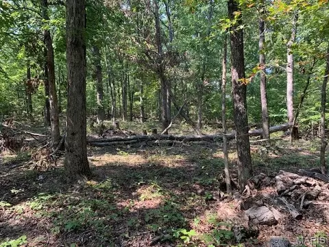 Off Cr 124, Annapolis, MO 63620 photo 15