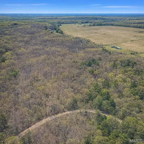 Off Cr 124, Annapolis, MO 63620 photo 7