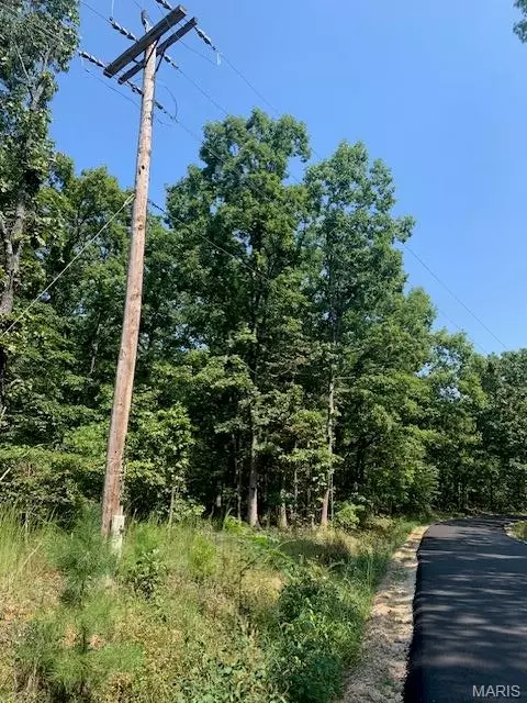 Off Cr 124, Annapolis, MO 63620 photo 16